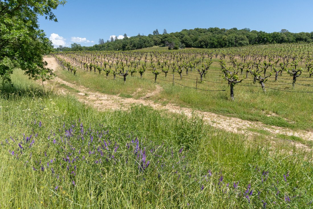 Farm Ranch in Rockingham County, Rockingham County, United States 2 - 14698960