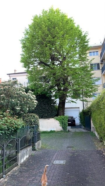 House in Savonarola - Ferrovia, Padua, Italy 2 - 14702808