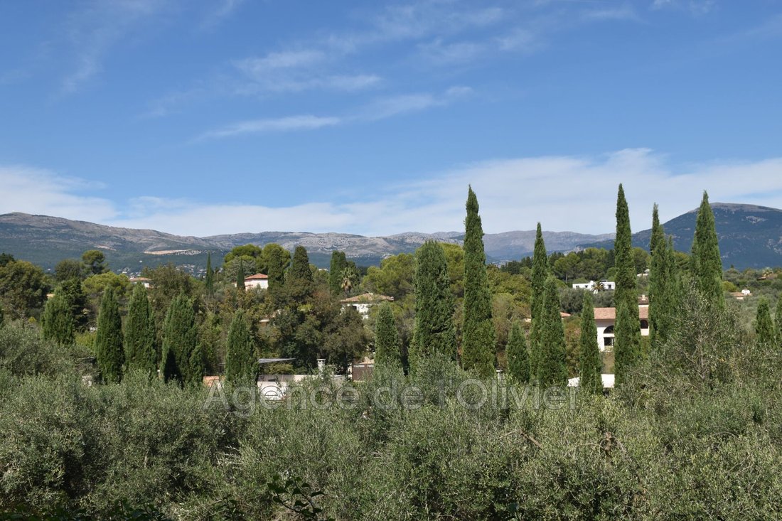 Villa in Valbonne, Provence-Alpes-Côte d'Azur, France 4 - 14409379