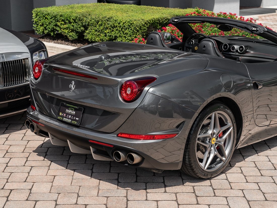 Cabriolet in Naples, FL 3 - 14674846