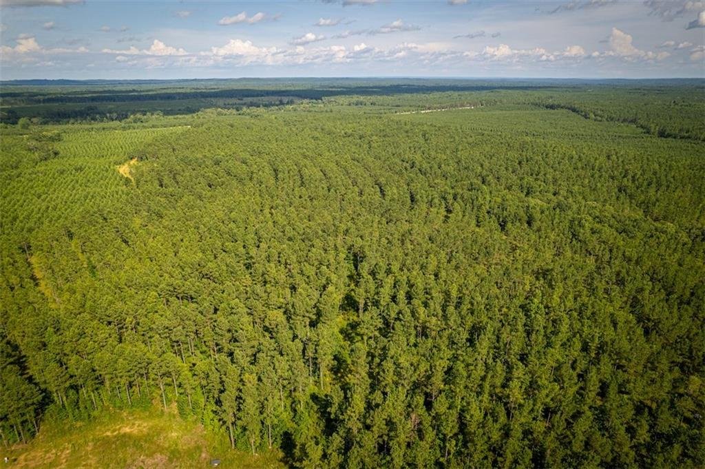 Lots And Land Pittsview In Pittsview, Alabama, United States For Sale