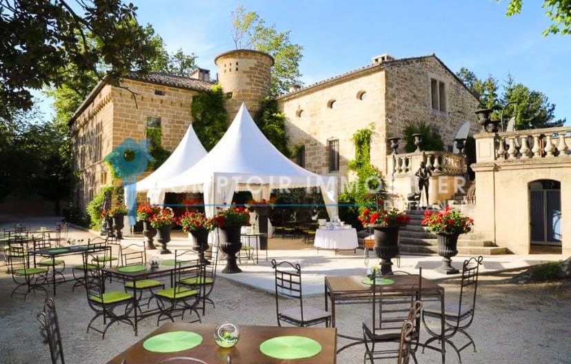 Castle in Châteauneuf-du-Pape, Provence-Alpes-Côte d'Azur, France 1 - 14699413