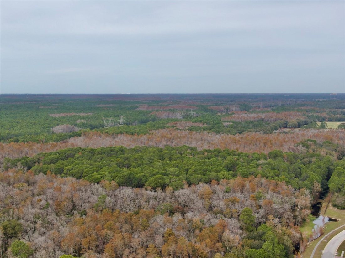 Lots And Land Odessa In Odessa, Florida, United States For Sale (14700933)