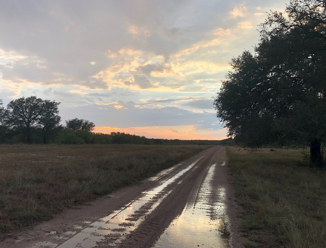 Flying X Ranch In Spicewood, Texas, United States For Sale (14702772)