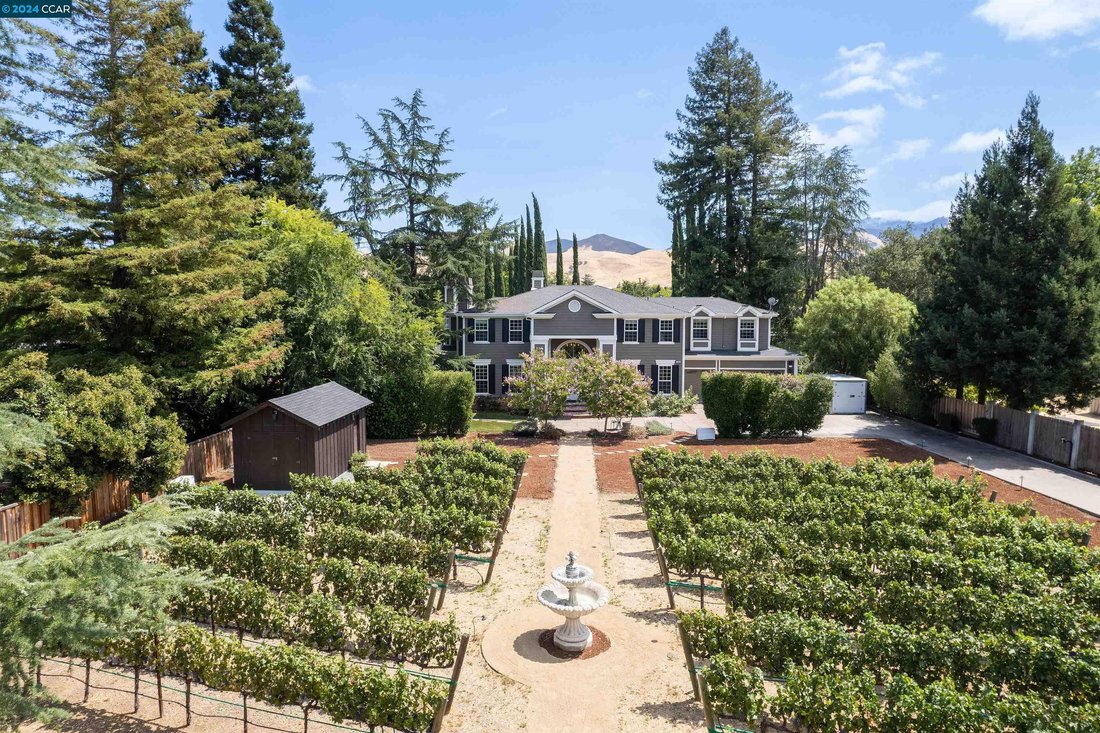 736 Hutchinson Rd, Walnut Creek, Ca, In Walnut Creek, California