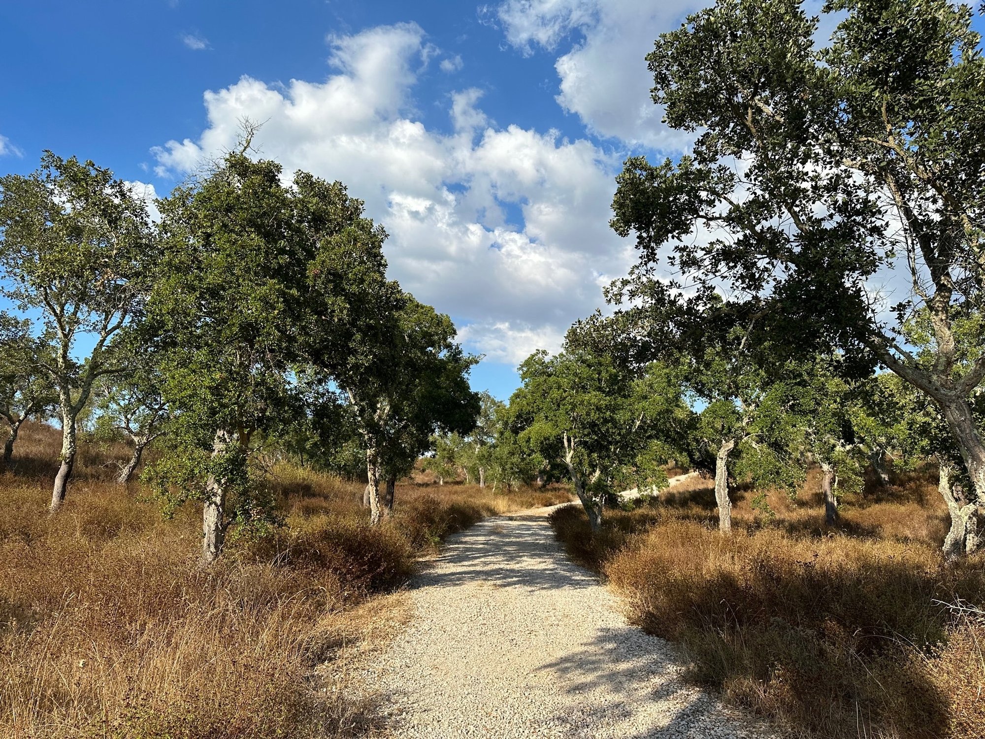 Land for sale in Grândola, Portugal — €600,000