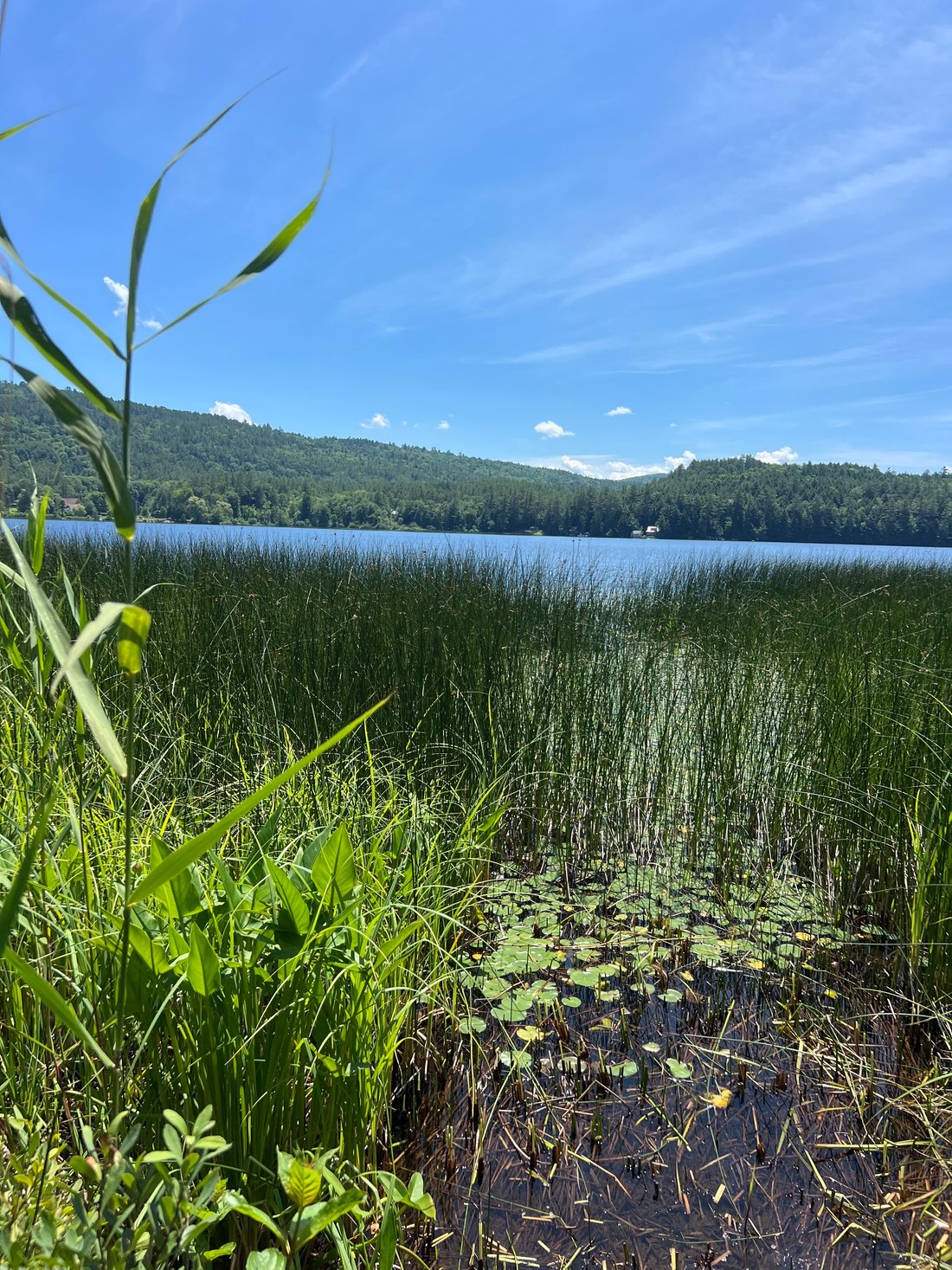 Ten Acres On Post Pond With Cottage In Lyme, New Hampshire, United