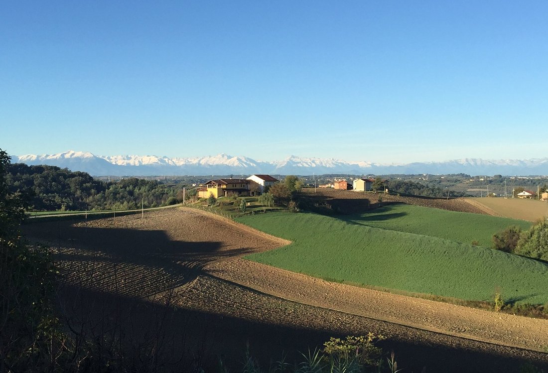 Country House For Sale Close To Monforte In Monforte D'alba, Piedmont