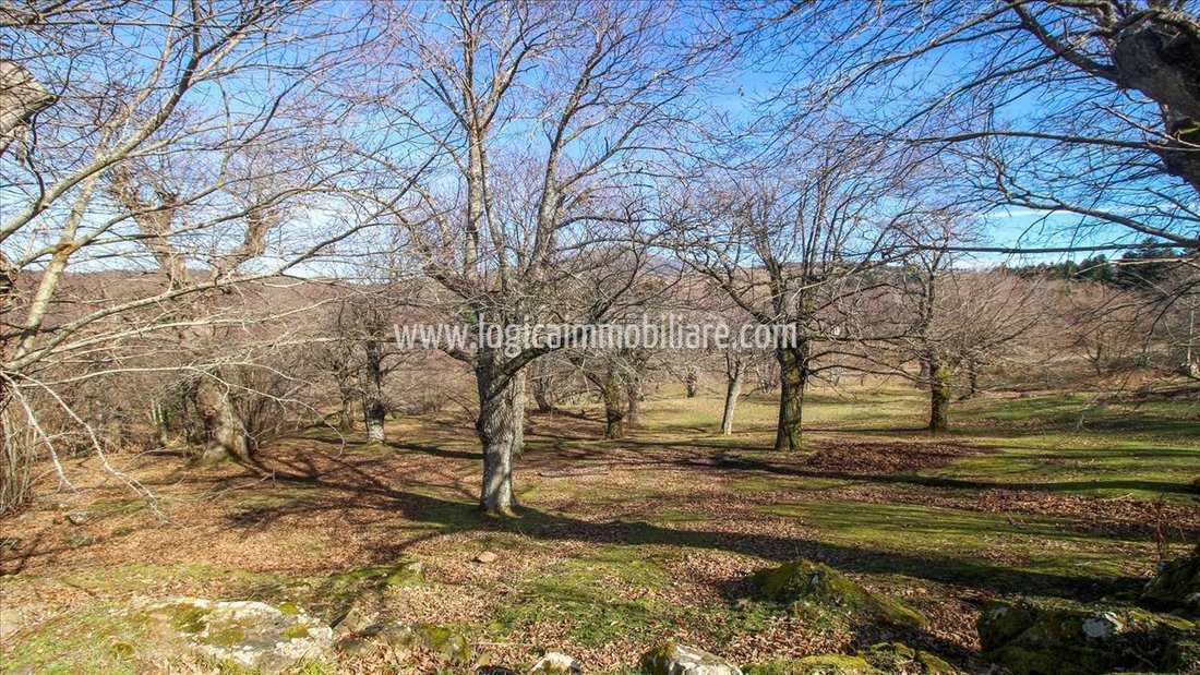 Country House in Italy 4 - 14707142