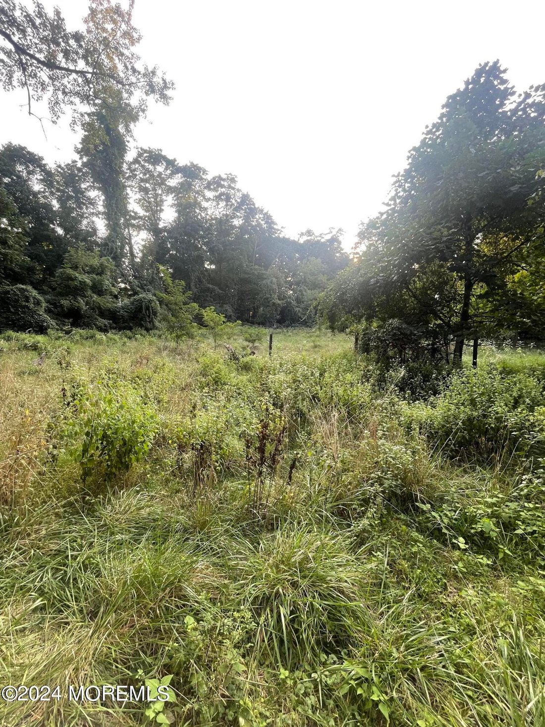 Vacant Land In Lincroft, New Jersey, United States For Sale (14706871)