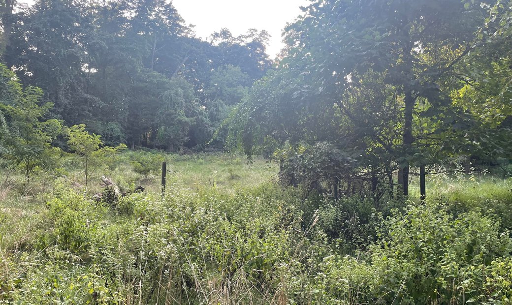 Vacant Land In Lincroft, New Jersey, United States For Sale (14706871)