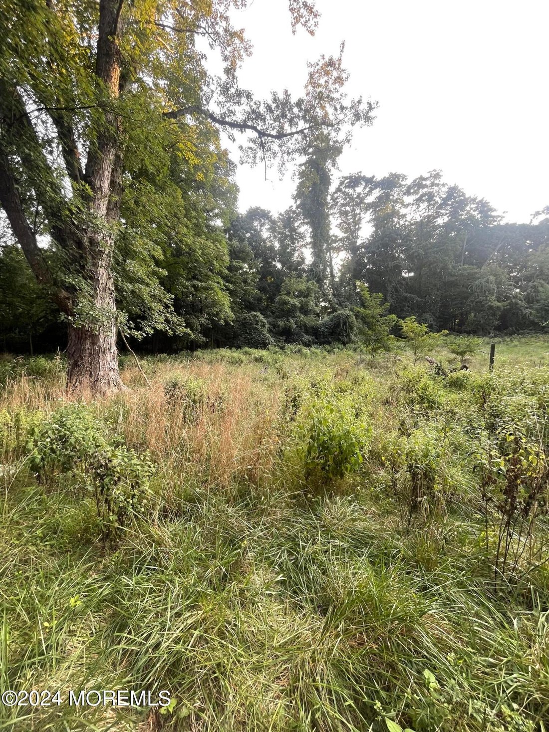 Vacant Land In Lincroft, New Jersey, United States For Sale (14706871)