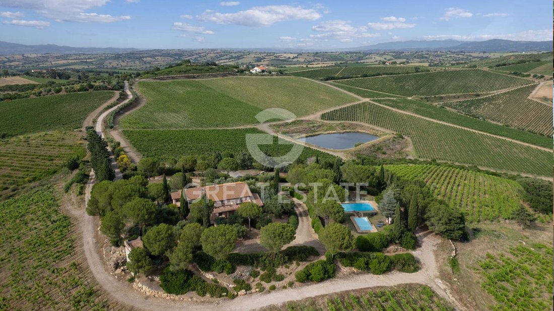 Estate in Center, Grosseto, Tuscany 1 - 14707542