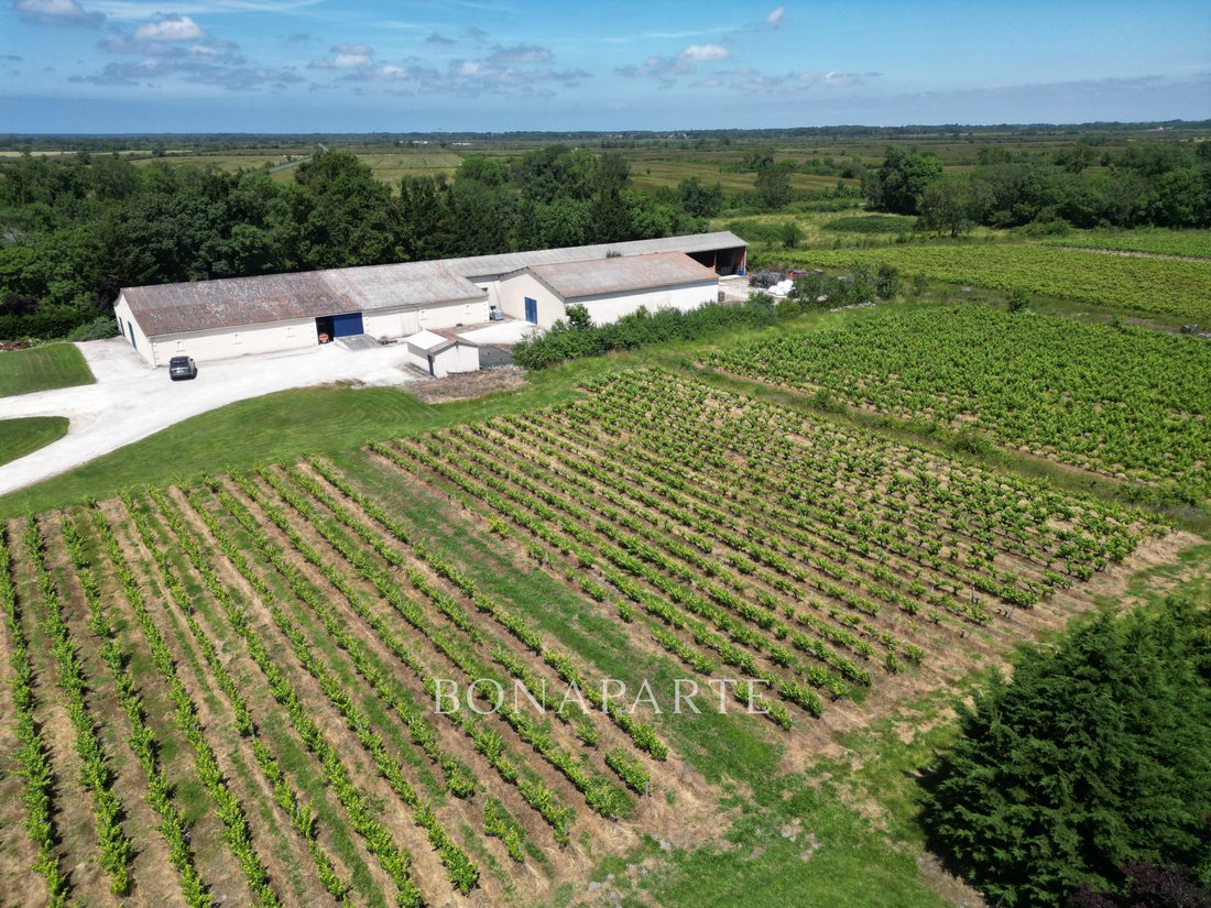 Castle in Bégadan, Nouvelle-Aquitaine, France 1 - 14711534