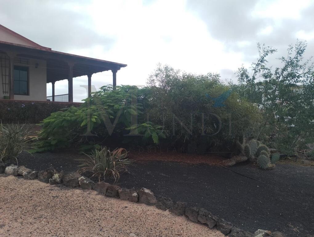 House in La Oliva, Canary Islands, Spain 5 - 14712102