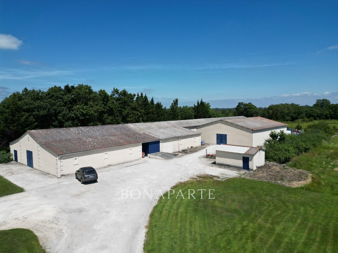 A Bordeaux Wine Baron’s Dream: 1700m² of Grandeur & 30 Acres of Legacy