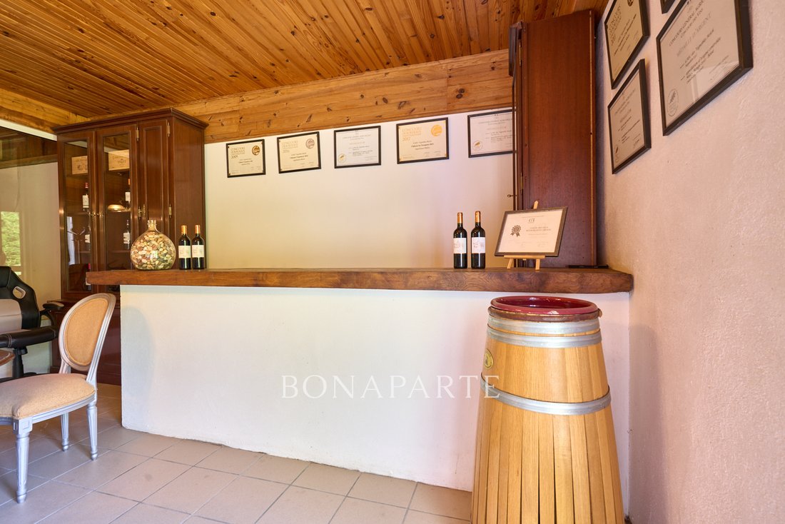 A Bordeaux Wine Baron’s Dream: 1700m² of Grandeur & 30 Acres of Legacy