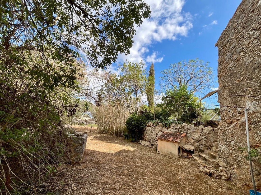 Land in Sencelles, Balearic Islands, Spain 4 - 14712551