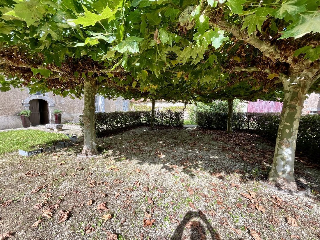 House in Luchapt, Nouvelle-Aquitaine, France 5 - 14710875