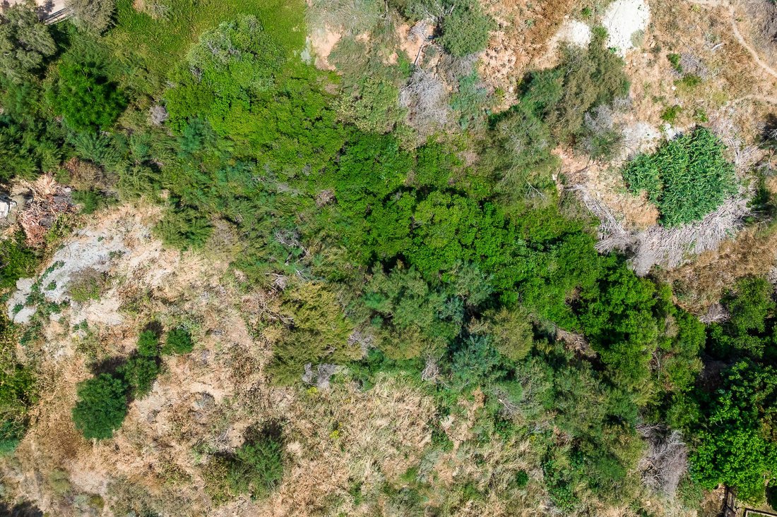 Land in El Paraíso, Benahavis, Spain 4 - 14709757