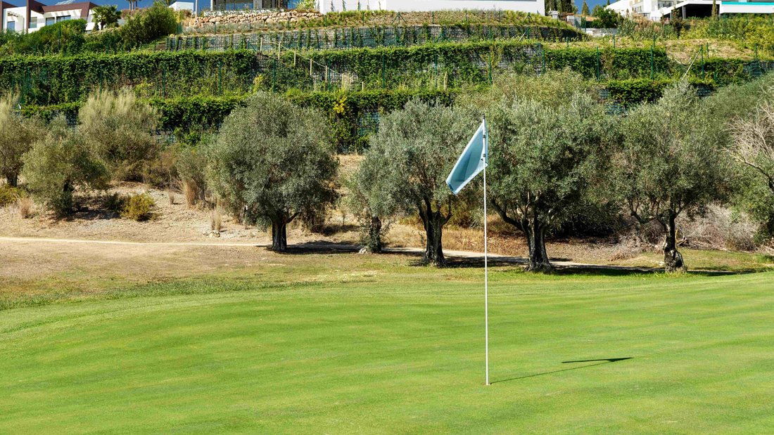 Villa in Benahavis, Andalusia, Spain 5 - 14709790