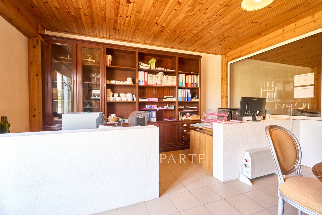 A Bordeaux Wine Baron’s Dream: 1700m² of Grandeur & 30 Acres of Legacy - 5