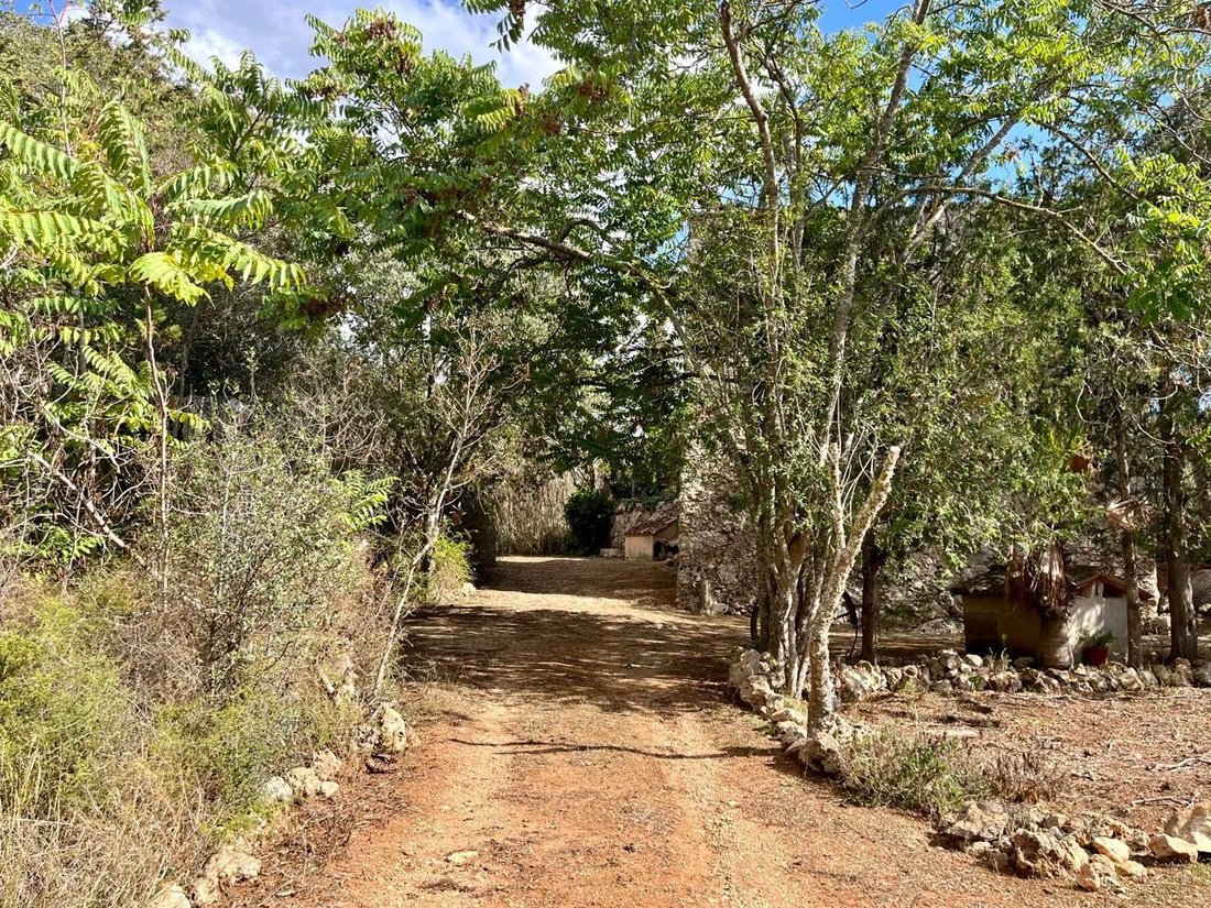 Land in Sencelles, Balearic Islands, Spain 2 - 14712551