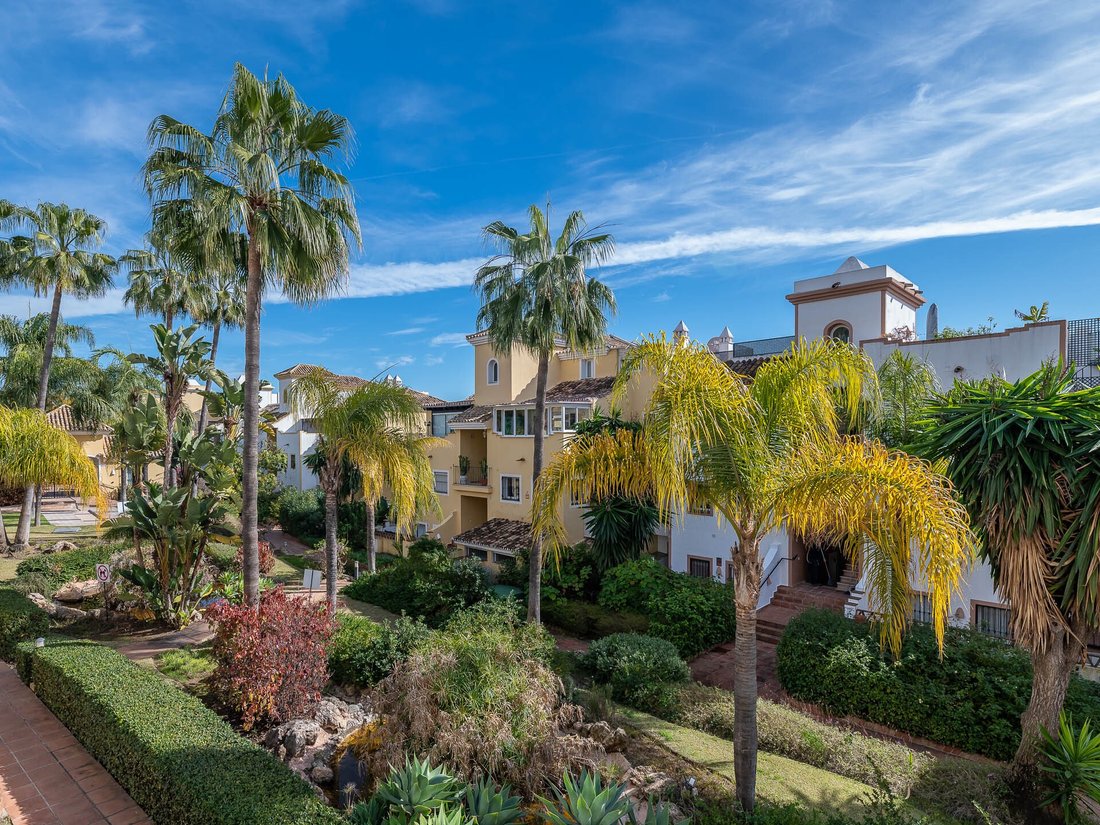 Apartment in Guadalmina Alta, San Pedro de Alcantara, Spain 1 - 14709882