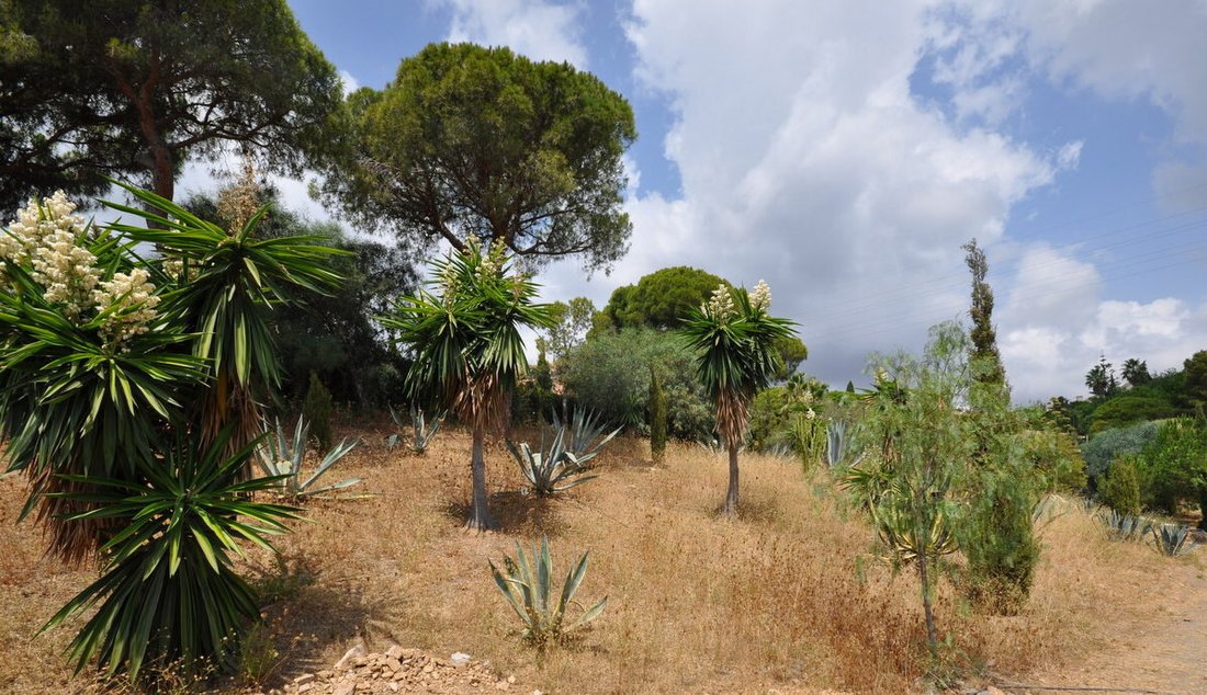 Land in Elviria-Cabopino, Marbella, Spain 4 - 14709517