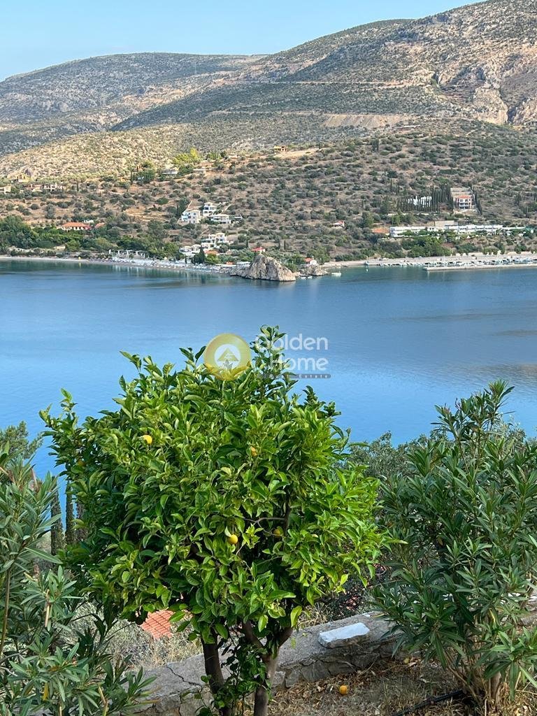 House in Antikyra, Thessaly and Central Greece, Greece 1 - 14715307
