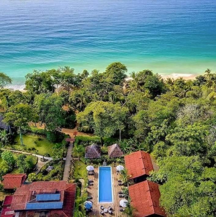 Bocas del Toro, Panama 1 - 14716904
