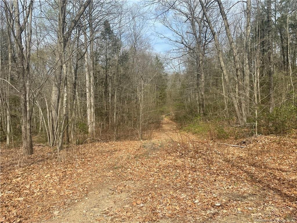 Land in Wilton, Connecticut, United States 1 - 12749374