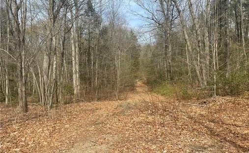 Land in Wilton, Connecticut, United States 1