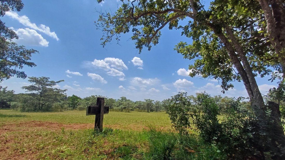 Corps de ferme à Modimolle, Limpopo, Afrique du Sud 4 - 14715948