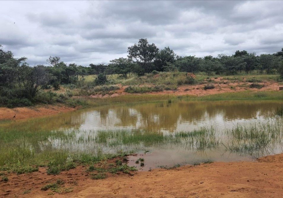 Corps de ferme à Modimolle, Limpopo, Afrique du Sud 3 - 14715948