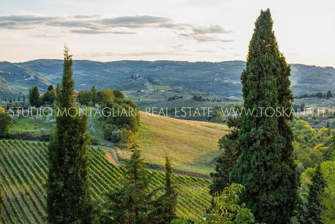 Villa in Center, Greve in Chianti, Tuscany 3 - 14718951