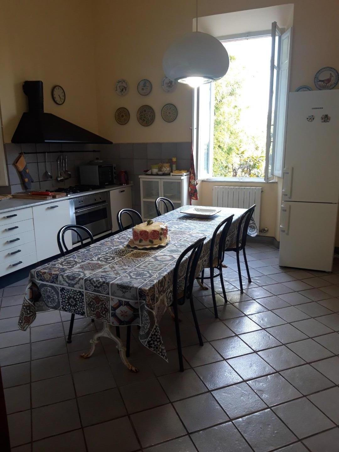Villa in Stadium - Sant'Antonio - Marasio, Marina di Carrara, Tuscany 5 - 14722016