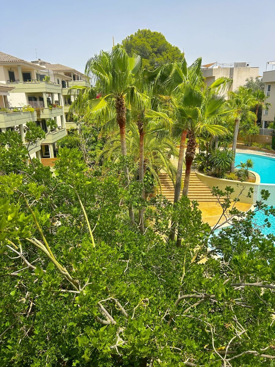 Apartment in Palma, Balearic Islands, Spain 3 - 14720403
