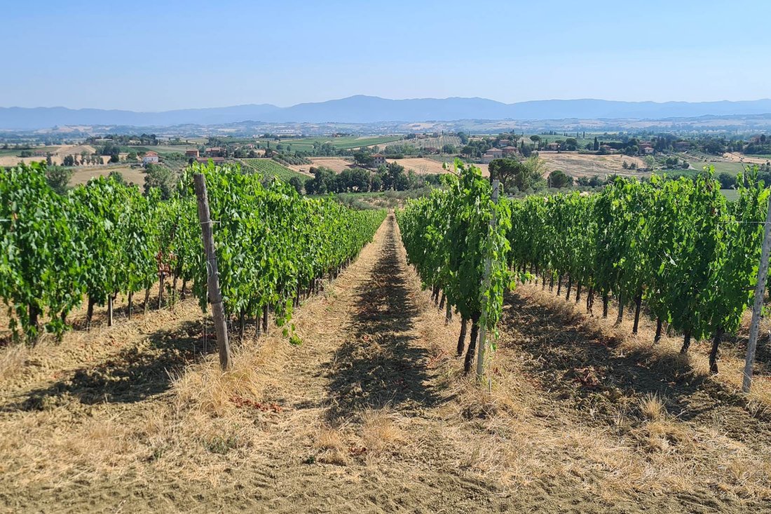 Country House in Montepulciano, Tuscany, Italy 4 - 14720551