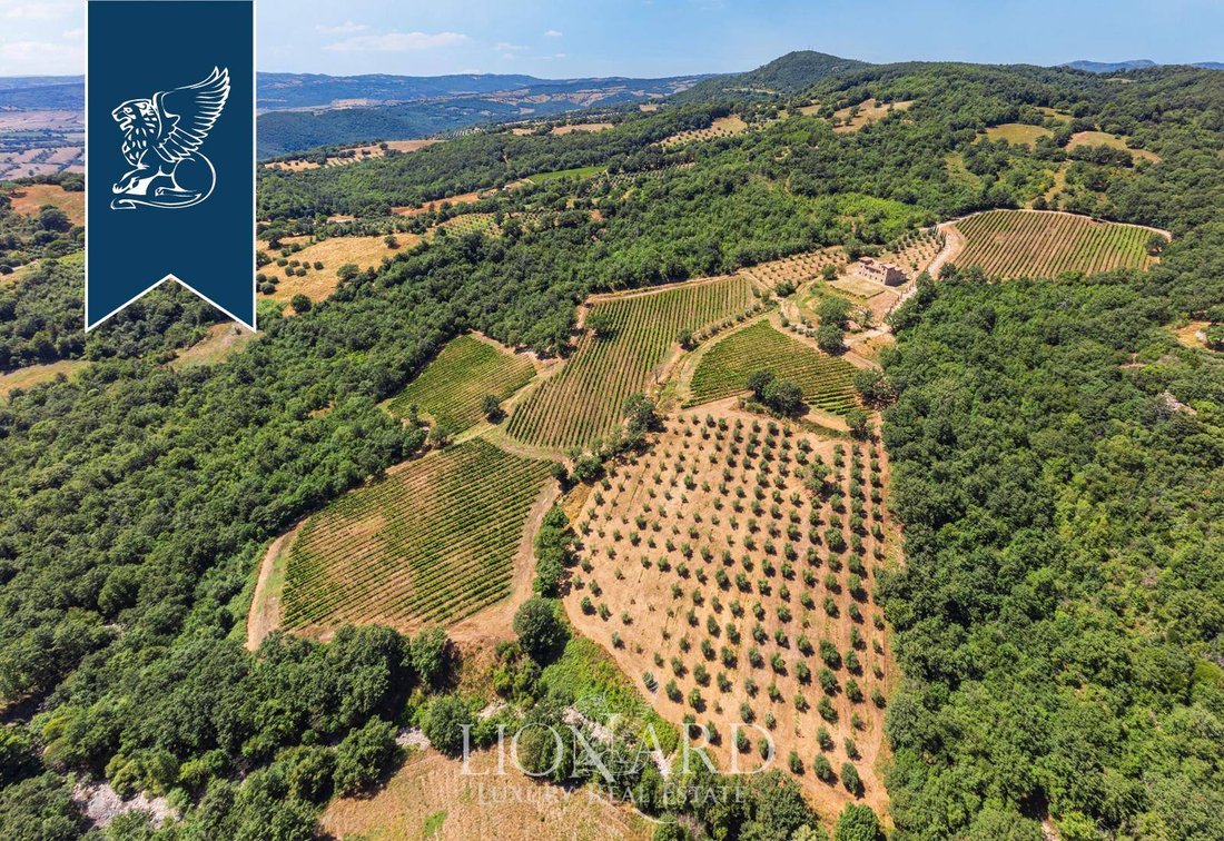 Villa in Manciano, Toskana, Italien 5 - 14722678