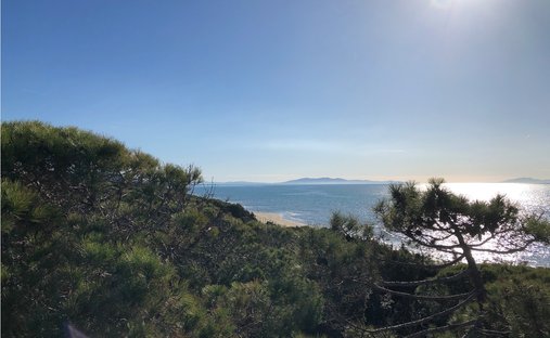 Villa a Castiglione della Pescaia, Toscana, Italia 1