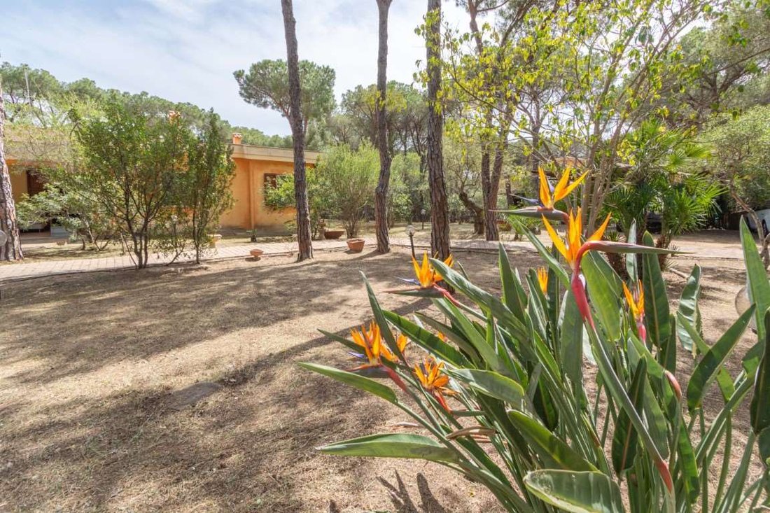 Villa in Pula, Sardinia, Italy 3 - 14726524