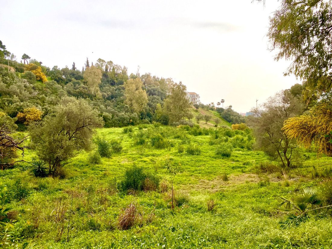 Terreno a Benahavís, Andalusia, Spagna 1 - 11348636