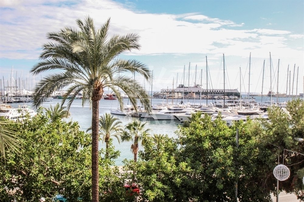Apartment in Palma, Balearic Islands, Spain 3 - 14725438