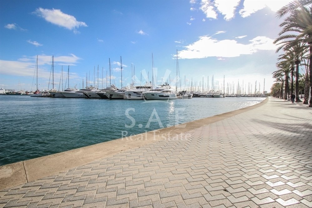 Apartment in Palma, Balearic Islands, Spain 5 - 14725438