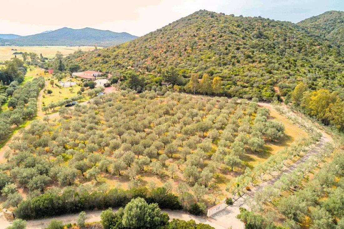 Villa in Uta, Sardinia, Italy 2 - 14726497
