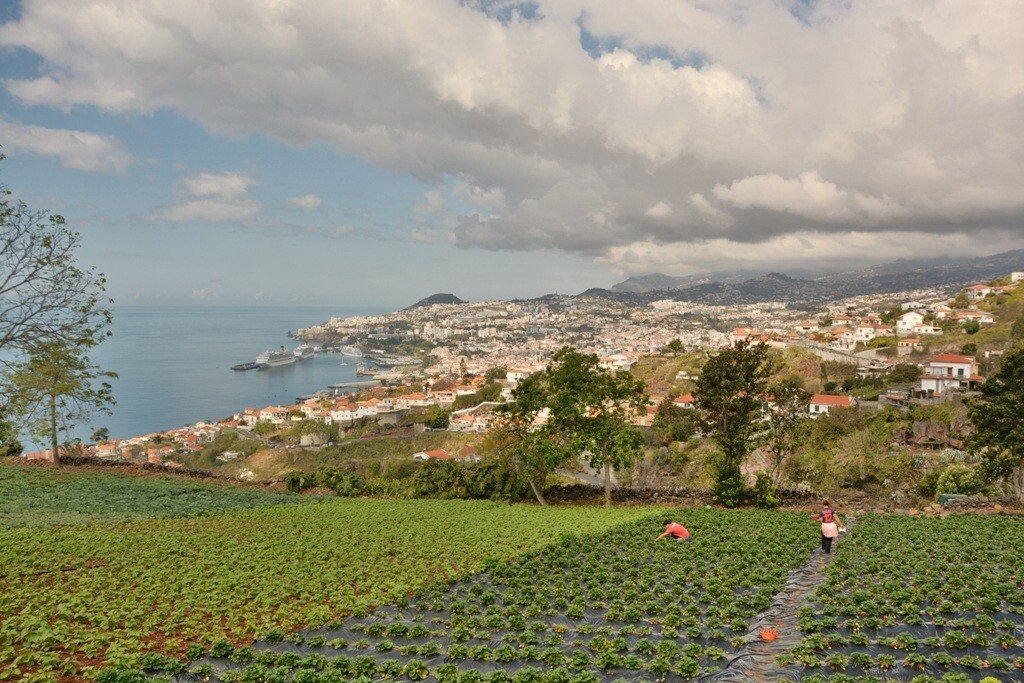 Land for sale in Funchal, Portugal — €4,700,000