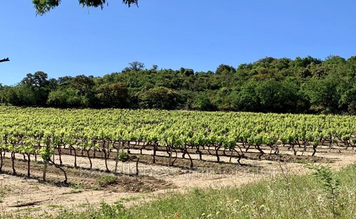 Villa in Le Plan-de-la-Tour, Provence-Alpes-C�te d'Azur, France 1