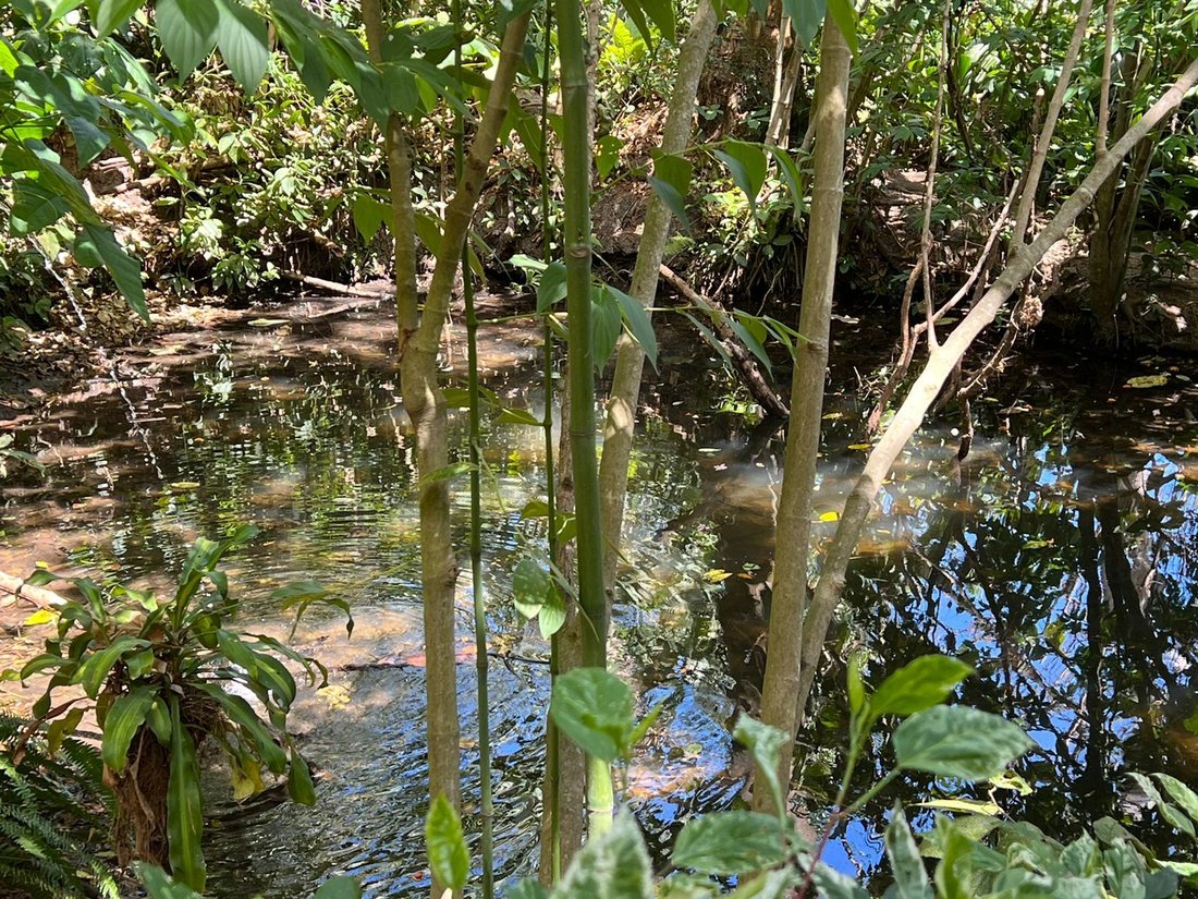 Land in Atenas, Alajuela Province, Costa Rica 2 - 14734854