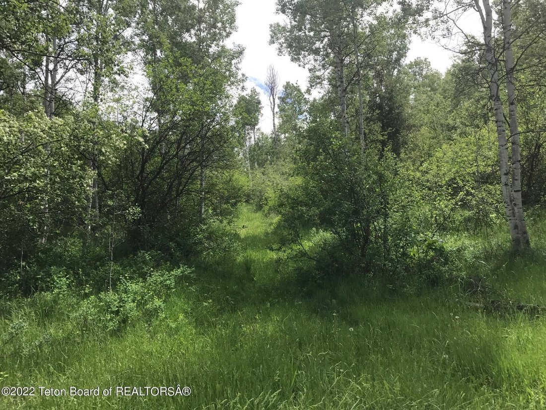 Lots And Land Thayne In Thayne, Wyoming, United States For Sale (14735638)